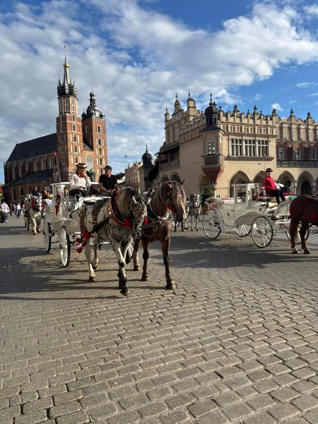 Apartament Piccolo Cracovia Esterno foto